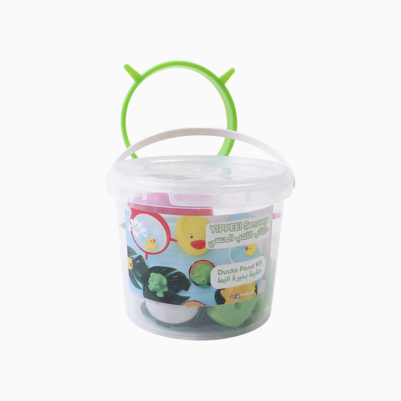Ducks & Frogs Kit
