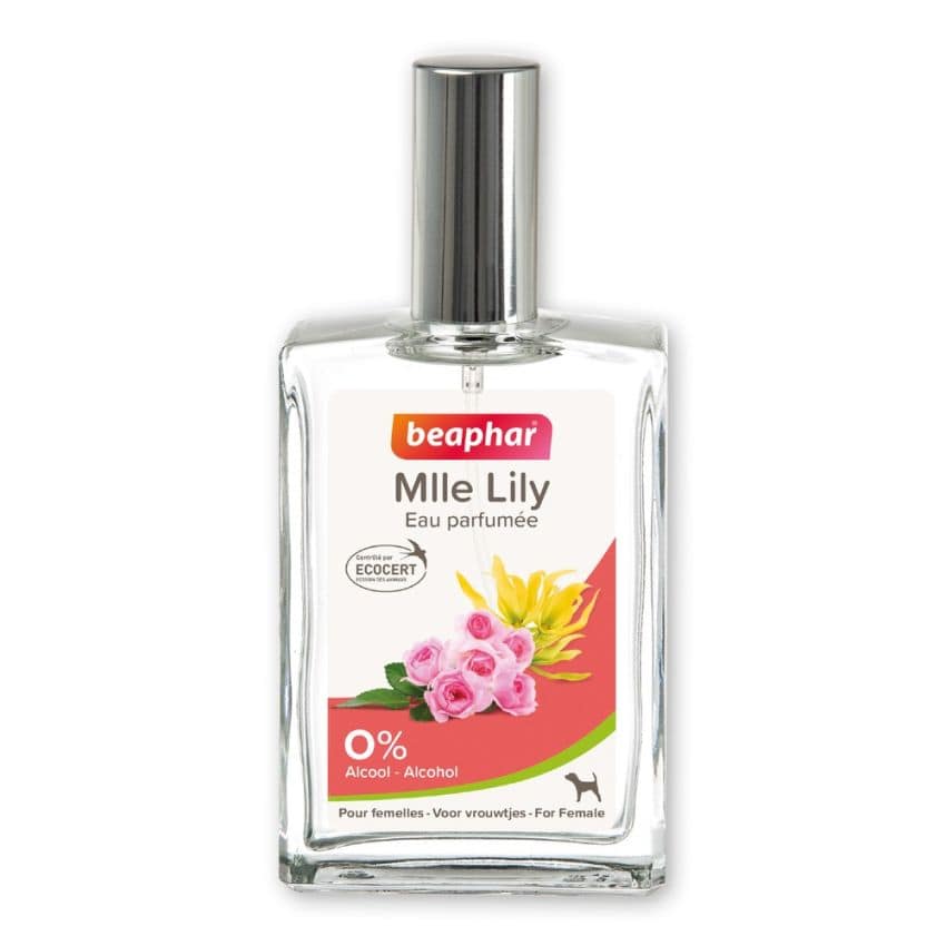 BEAPHAR بخاخ عطر فاخر 50 ml للكلاب الإناث