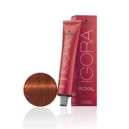 SCHWARZKOPF IGORA ROYAL 6-77 Dark Blonde Copper Extra 60ml