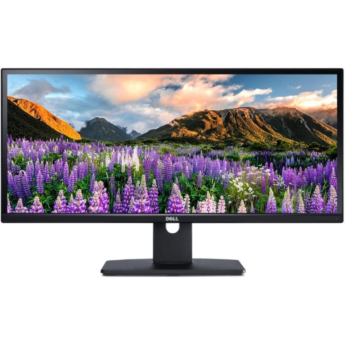 Dell U2917W Ultra Sharp 29" Screen IPS Monitor 2k