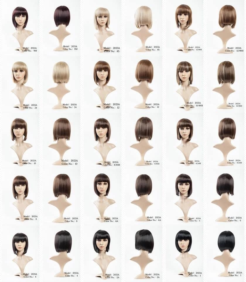 Hair Bright Synthetic Wigs Model No. 2023A
