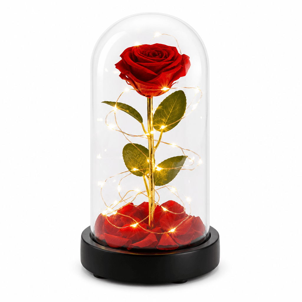 Valentine LED Rose Dome