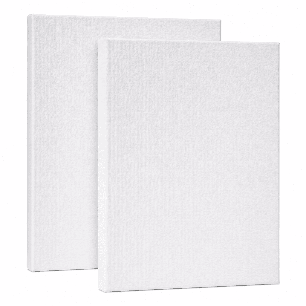 Winsor & Newton Artists’ Canvas 2‑Pack