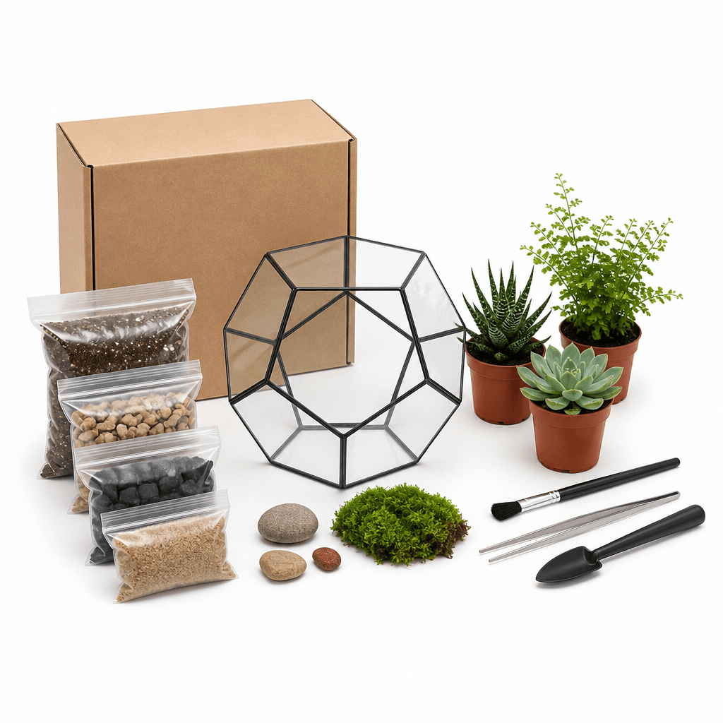 DIY Terrarium Kit