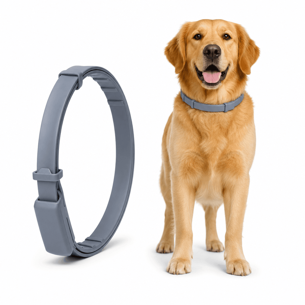 PetArmor Plus Dog Large