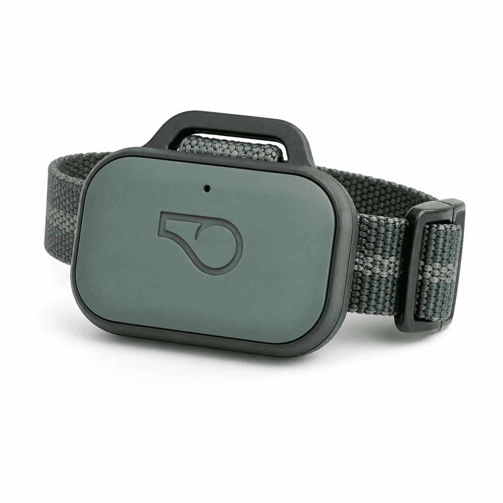 Whistle GO Explore GPS Pet Tracker