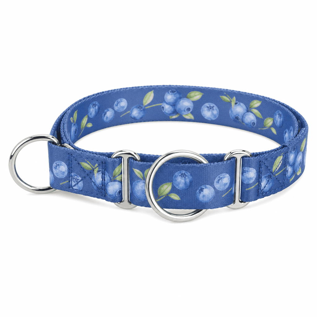 Blueberry Pet Martingale Collar