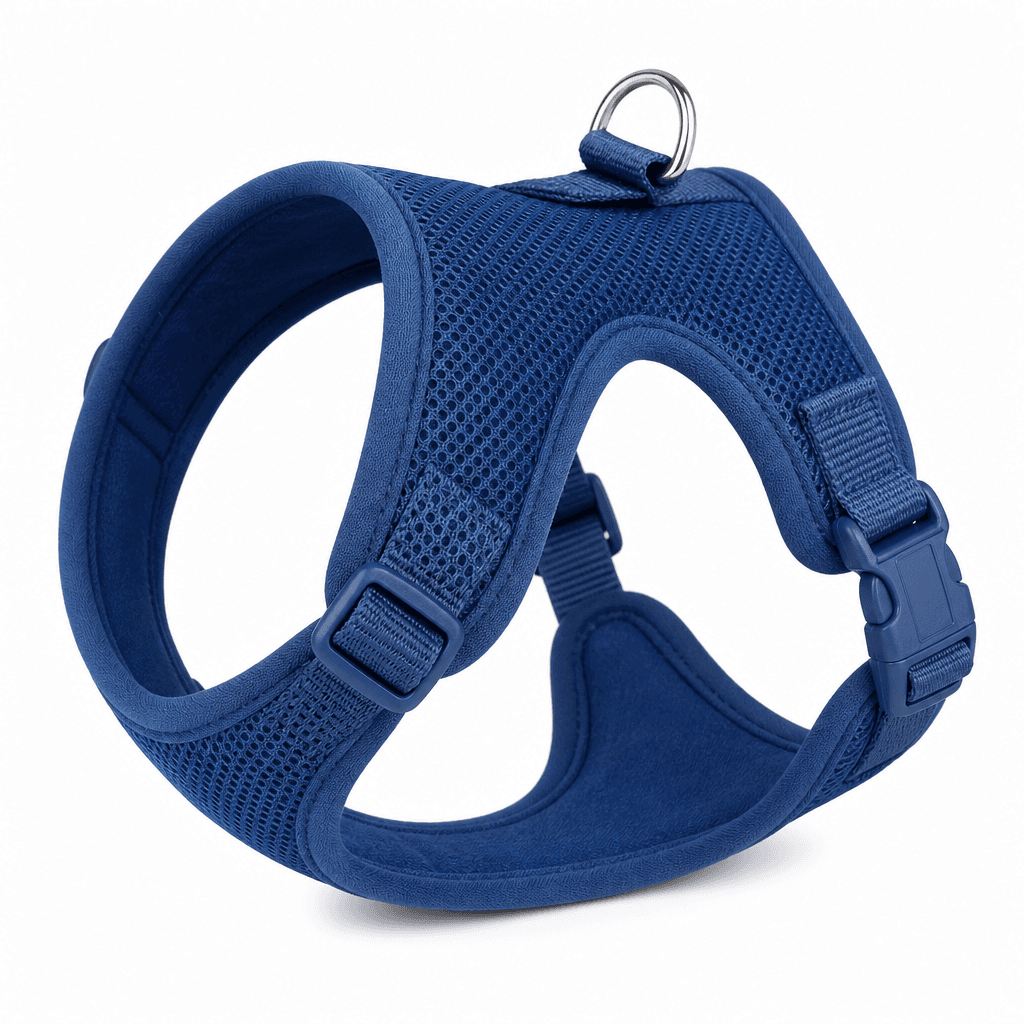 Blueberry Pet Padded Dog Harness