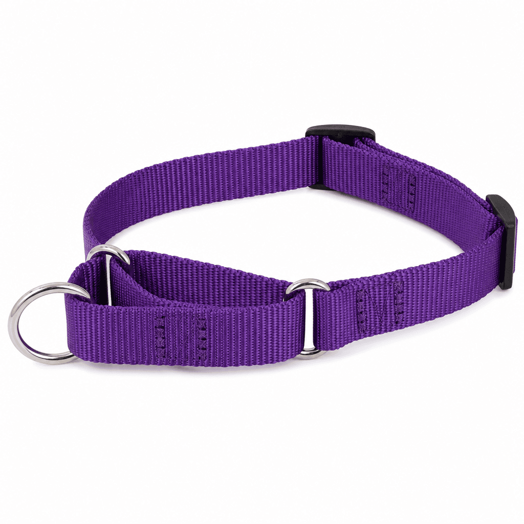 PetSafe Martingale Collar