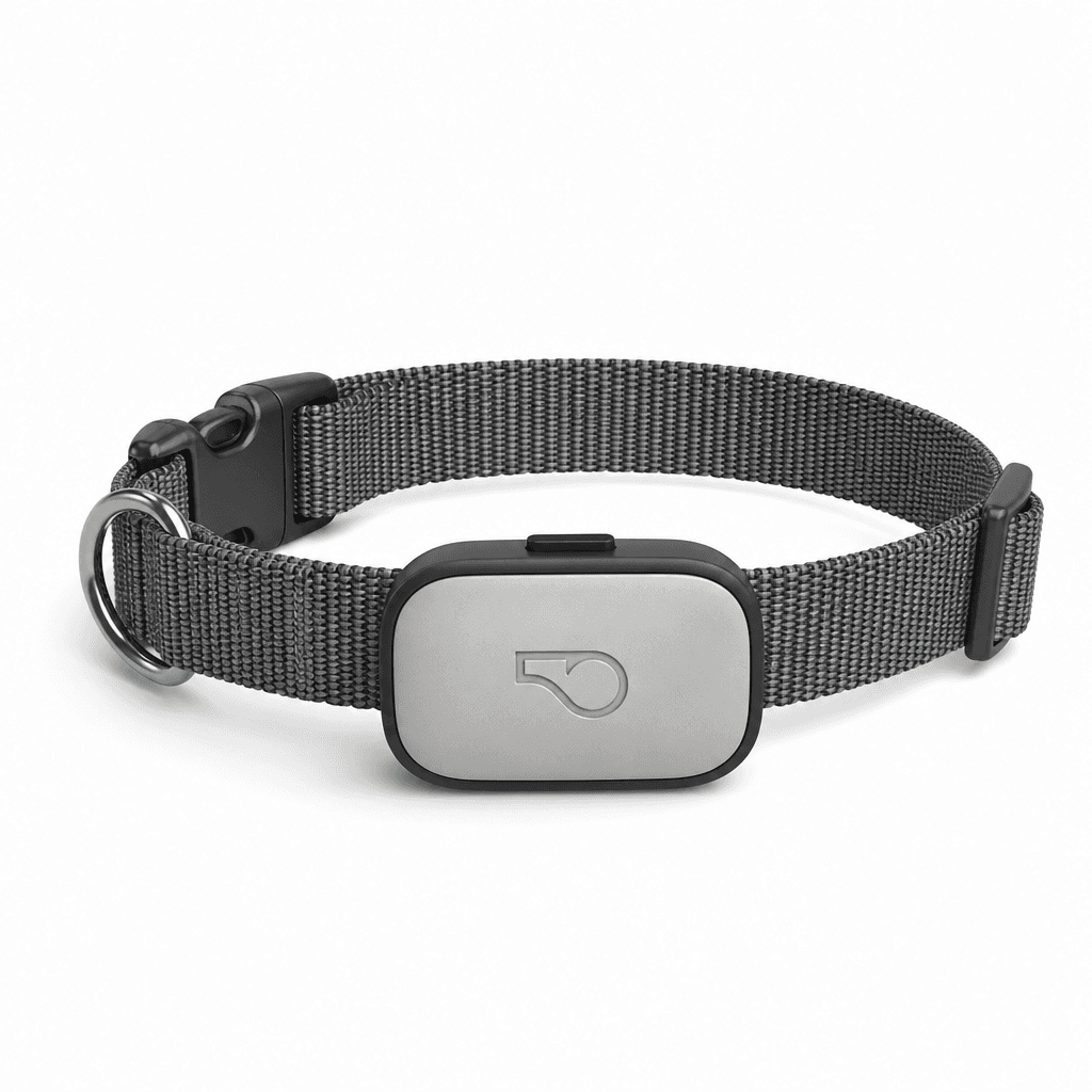 Whistle Switch Smart Collar