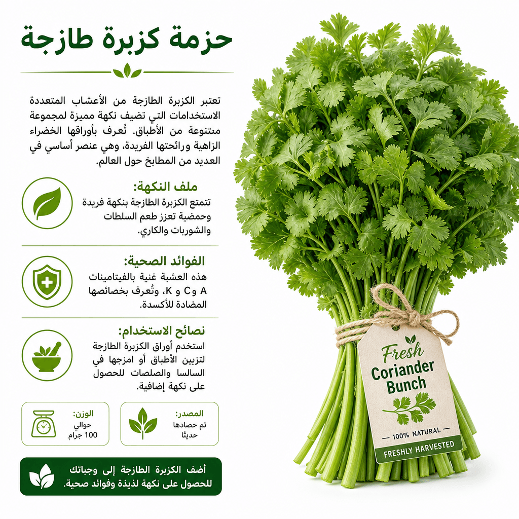 Fresh Coriander Bunch