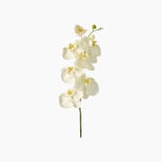 Leonardo Fiore Orchidea Decorative Piece product image