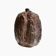living Nut Vase product image