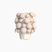 Fungi Vase product image