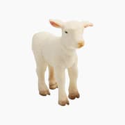 Collecta Lamb Animal Toy Figure product image