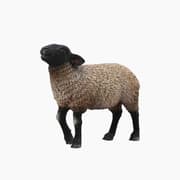 Collecta Suffolk Animal Toy Figure product image