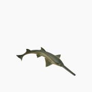 Collecta Sawfish Animal Toy Figure product image