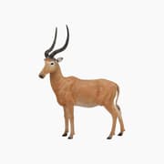 Collecta Hirola Animal Toy Figure product image