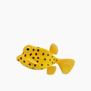 Collecta Boxfish Animal Toy Figure product image