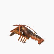 Collecta Lobster Animal Toy Figure product image