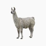 Collecta Llama Animal Toy Figure product image