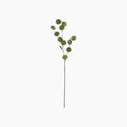 Branch Honesty product image