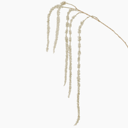 Amaranthus Branch product image