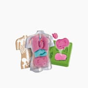 Clementoni Anatomy Squishy (USA) product image