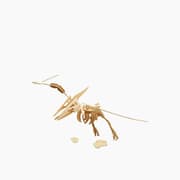 Buki Dinos 3D Wooden Models product image