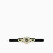 Mattel WWE Network Gold Heavyweight Championship Title Belt product image