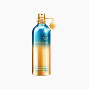 Montale Aoud Lagoon EDP 100ML Unisex product image