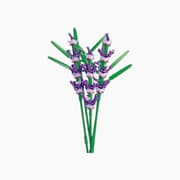 Pleyerid Lavender 258PCS product image