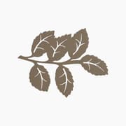 Kawn Designs Mint — Trivet product image