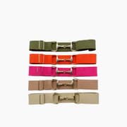 Equestro Snaffle Bit Riding Belt product image