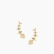 Soulfish Earrings product image