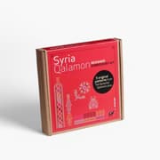 Folkglory Qalamon Beginner Embroidery Kit product image