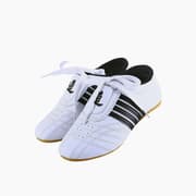 Taekwondo Shoes 654 product image