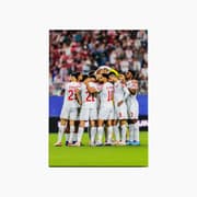 Sections Lifestyle Jordan Team A4 printed canvas 20*30 product image