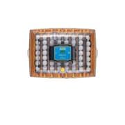 حاضنة البيض أوفيشن 56 EX بتحكم أوتوماتيكي وبيئة مثالية للفقس product image