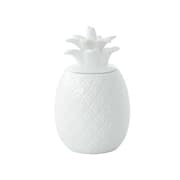 مرطبان بتصميم أناناس 15*9 سم بعلبة من Easy Life Madagascar - أبيض product image