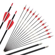 Carbon Archery Arrows product image