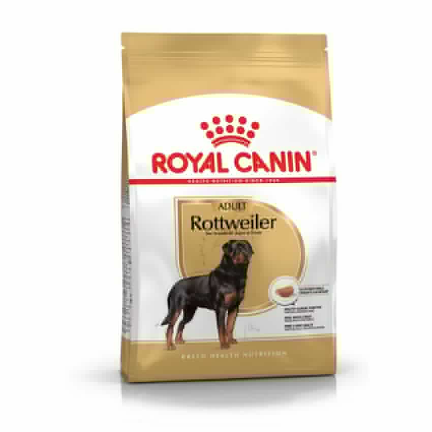 طعام جاف لكلاب الروت وايلر البالغة، 12كغ من ROYAL product image