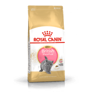 طعام جاف لهررة البريطاني قصير الشعر، 2كغ من ROYAL product image
