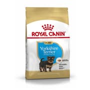 طعام جاف لجِراء يوركشاير تيرير، 1.5كغ من ROYAL product image