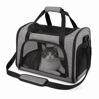 Frisco Travel Cat Carrier