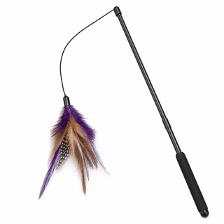 SmartyKat Feather Teaser Wand