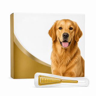 Frontline Gold Dog Medium