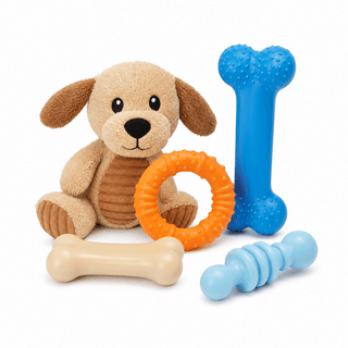 Nylabone Puppy Starter Kit