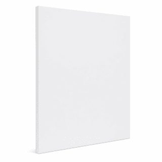 Elmer’s Foam Board 20x30