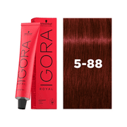SCHWARZKOPF IGORA Royal 5-88 Light Brown Red Extra 60ml product image